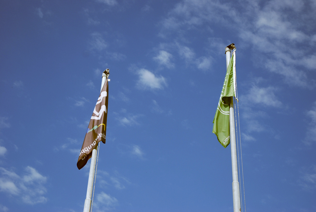 Fahnenmast NEU